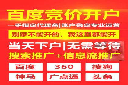 SEM托管服务成功案例：让广告投放更精准、更高效